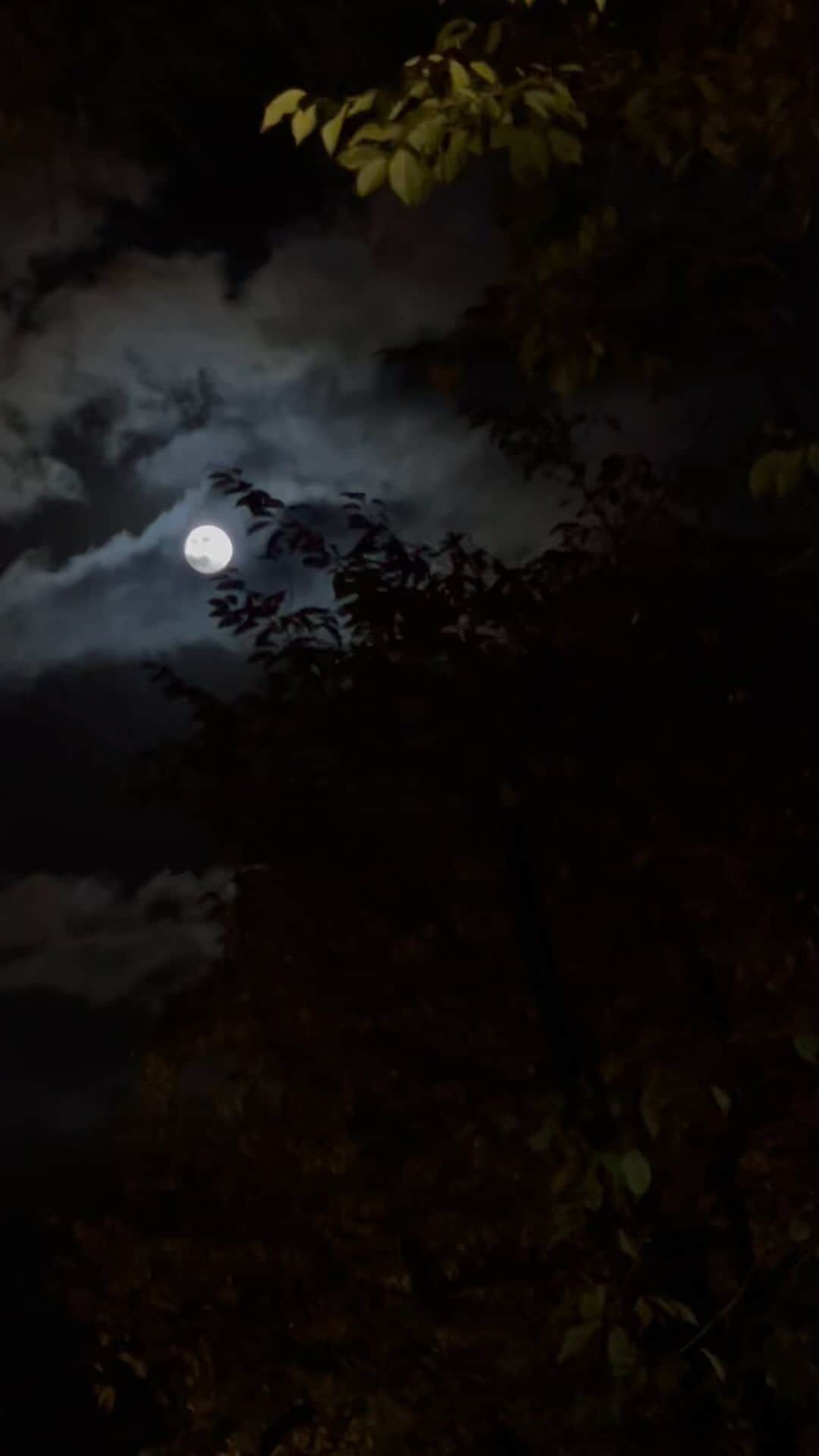 大島央照のインスタグラム：「・ 今日の月  #月 #moon #fullmoon #満月 #夜空 #癒し #京都 #kyoto #スッキリ #ハンターズムーン」