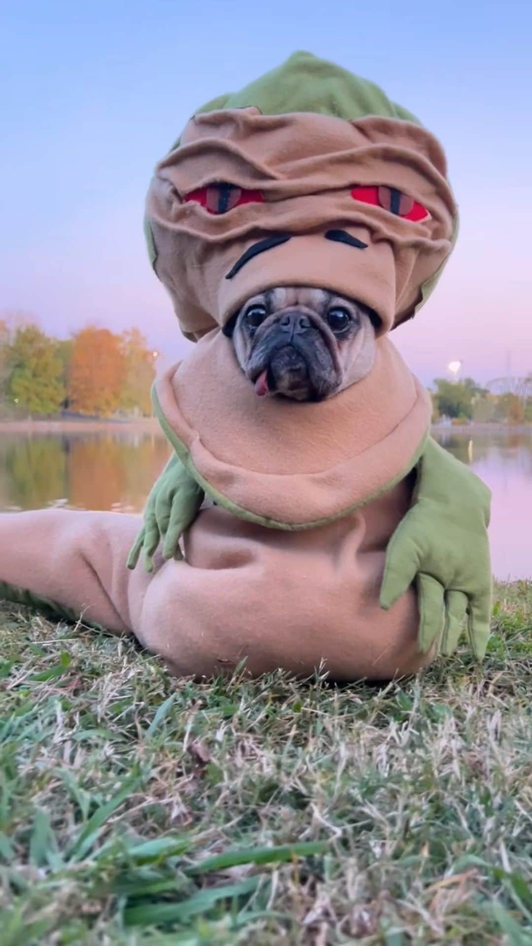 itsdougthepugのインスタグラム：「Doug’s Jabba the Hutt costume wins!! All pugs are a bit like Jabba so it feels very fitting.   #dogcostume #halloween #starwars #cosplay #pugs #costumeideas #dogsofinstagram #dougthepug #pug #starwarsfan   Thank you to local Nashville designer @hella_tl_swimwear for making our vision come to life!」