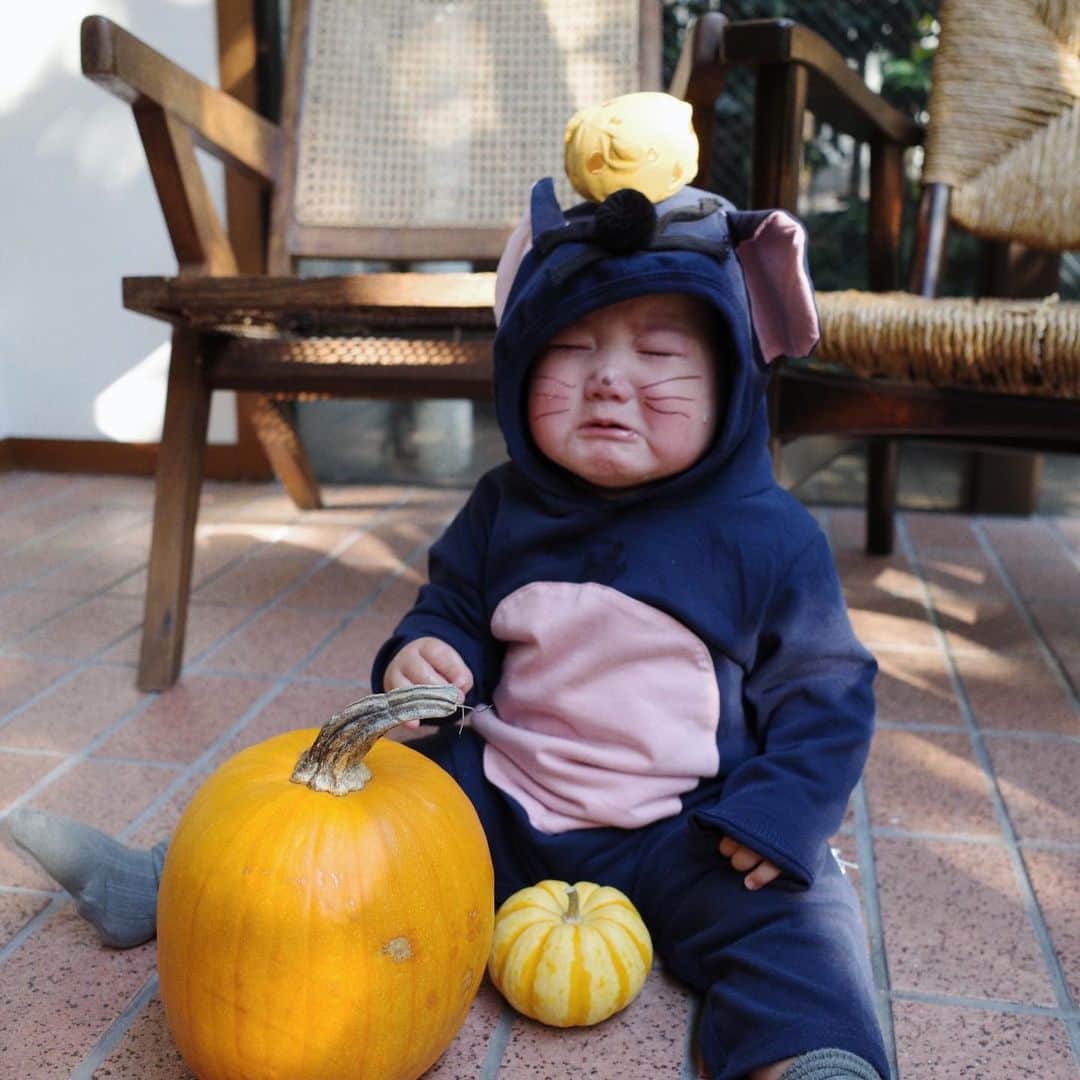 船曳ひろみさんのインスタグラム写真 - (船曳ひろみInstagram)「Happy Halloween 🎃  今年は🐭で♡ 着替えたくなかったり 集合写真撮るの難しかったり きーくんの衣装が猿よりだったり 🍌🤭  ひばりときーくんが遊んでるところに、「ぼくもいーい？」と 聞いていて、母は胸が苦しくなったよ🥲🤝　　 そんなこと聞けるの🥺🤍  #ハロウィン」10月28日 23時57分 - hiromi_funabiki