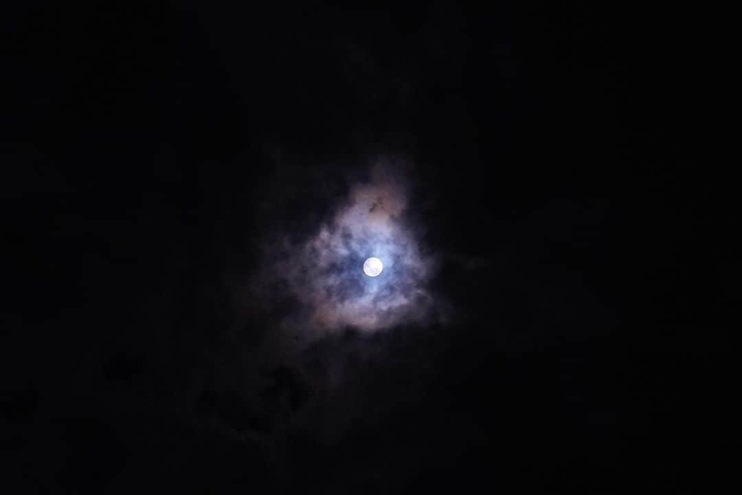 谷+１。さんのインスタグラム写真 - (谷+１。Instagram)「今宵満月🌕」10月29日 0時31分 - taniplus1