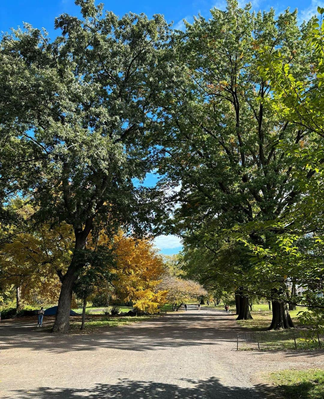 メラニー・サイクスさんのインスタグラム写真 - (メラニー・サイクスInstagram)「So much to see, so little time 😁🥰💫❤️  #centralpark  #guggenheim  #metropolitanmuseumofart  #autumnvibes🍁  #newyork #blueskies #newyork  @saralincmarr what fun we are having 🤸🏽‍♂️ 🥰❤️💫 thanks a million for everything xxxx」10月29日 0時48分 - msmelaniesykes