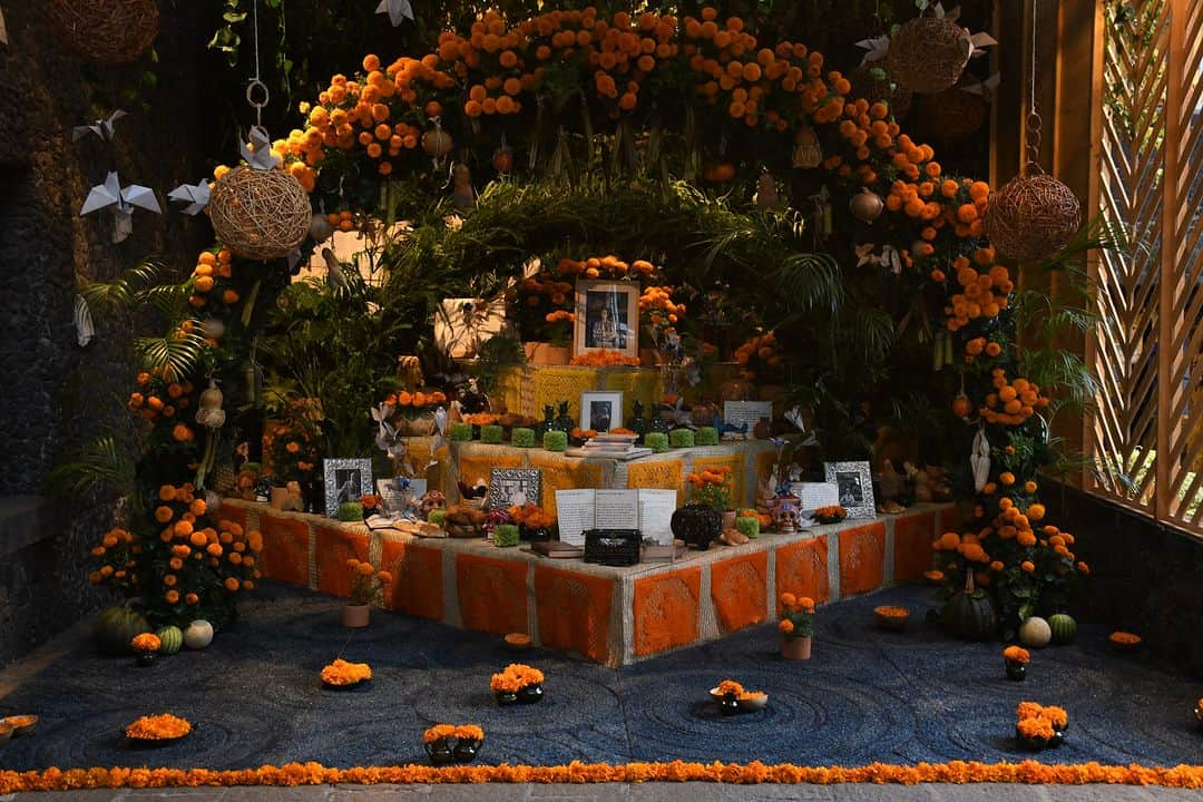 フリーダ・カーロ記念館のインスタグラム：「Vive la magia de Día de Muertos en la Casa Azul.  Disfruta en el jardín de #FridaKahlo 🌺 en vísperas del #DíadeMuertos. Un espacio donde la exuberancia de la naturaleza se entrelaza con el alma profunda de México, evocando pasión y arte.  Mientras conoces cada rincón de la #CasaAzul 💙, contempla nuestro altar titulado "Esto fui: Ofrenda para Carlos Pellicer" que resalta la multifacética figura del reconocido poeta, museógrafo, escritor, político, aficionado arqueólogo y entrañable amigo de Frida.  Te recomendamos planear tu visita. Adquiere tus en el sitio oficial www.boletosfridakahlo.org o consulta el link de nuestra bio.   🫀 #MuseoFridaKahlo #art #arte  🇲🇽 #México #CDMX #MexicoCity  🧳 #travel #Coyoacán #Museum #Museo #MuseosCDMX #travelgram」