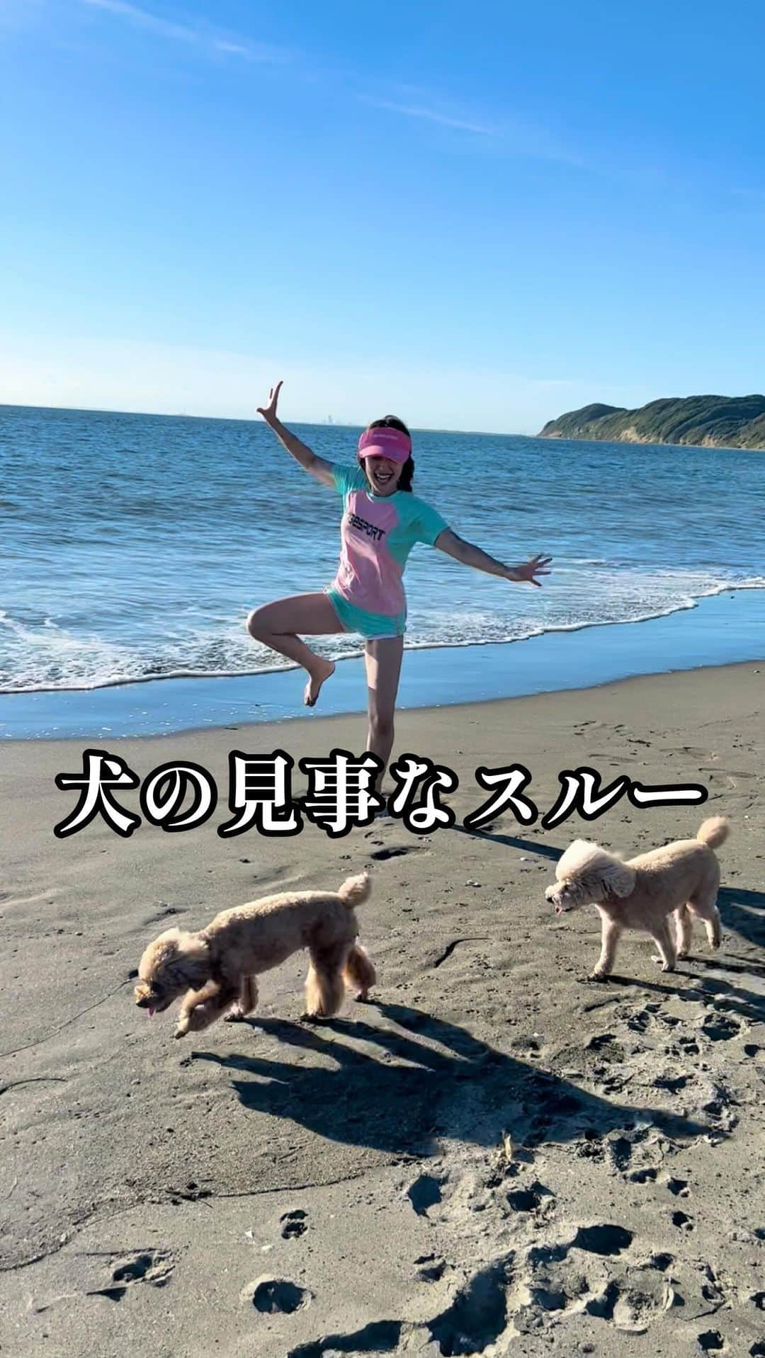 amiのインスタグラム：「完全に舐められている #犬 #海」