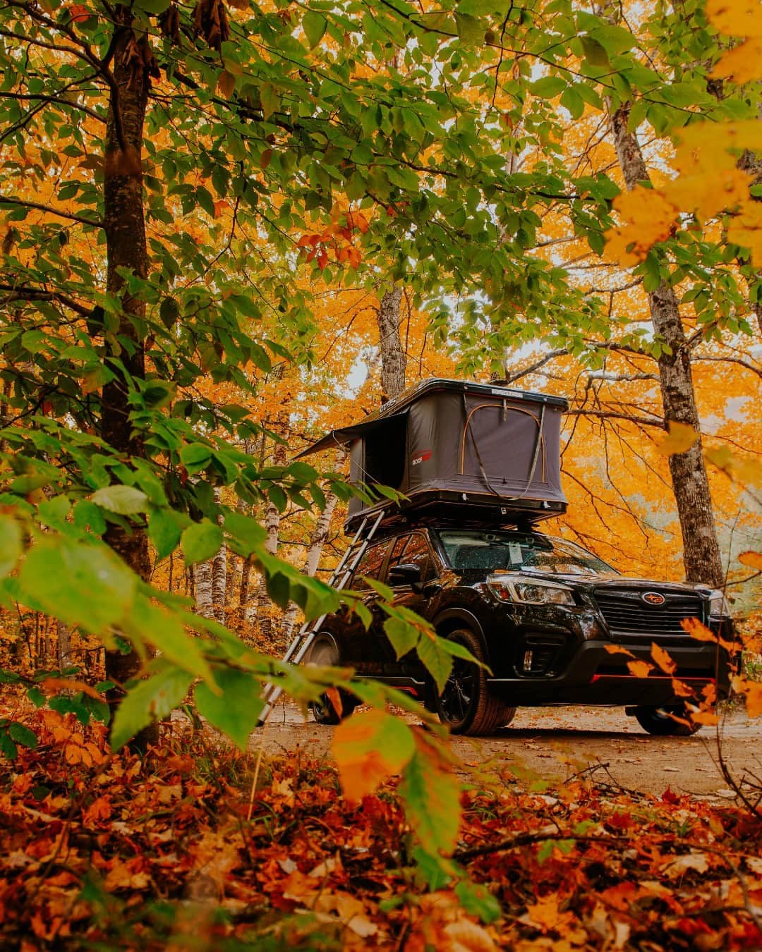 Subaru of Americaのインスタグラム：「Subarus and autumn leaves: a picture-perfect pairing 🍂  (📸: @phillmcdonald)」