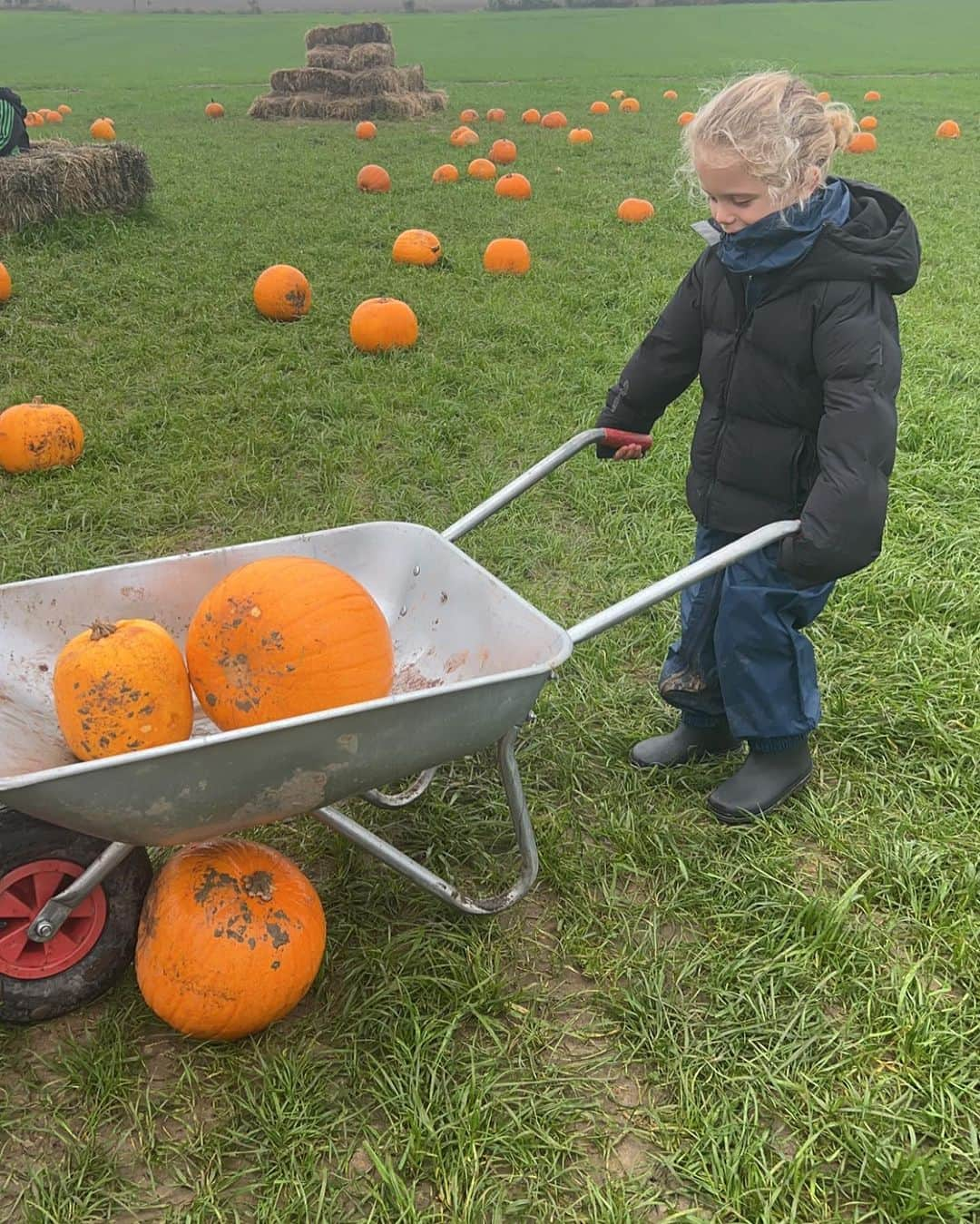 GazGShoreさんのインスタグラム写真 - (GazGShoreInstagram)「Couple 📸 from the farm 📍 @horncastlefarm   Perfect saturday 🎃 🥰」10月29日 2時00分 - gazbeadle