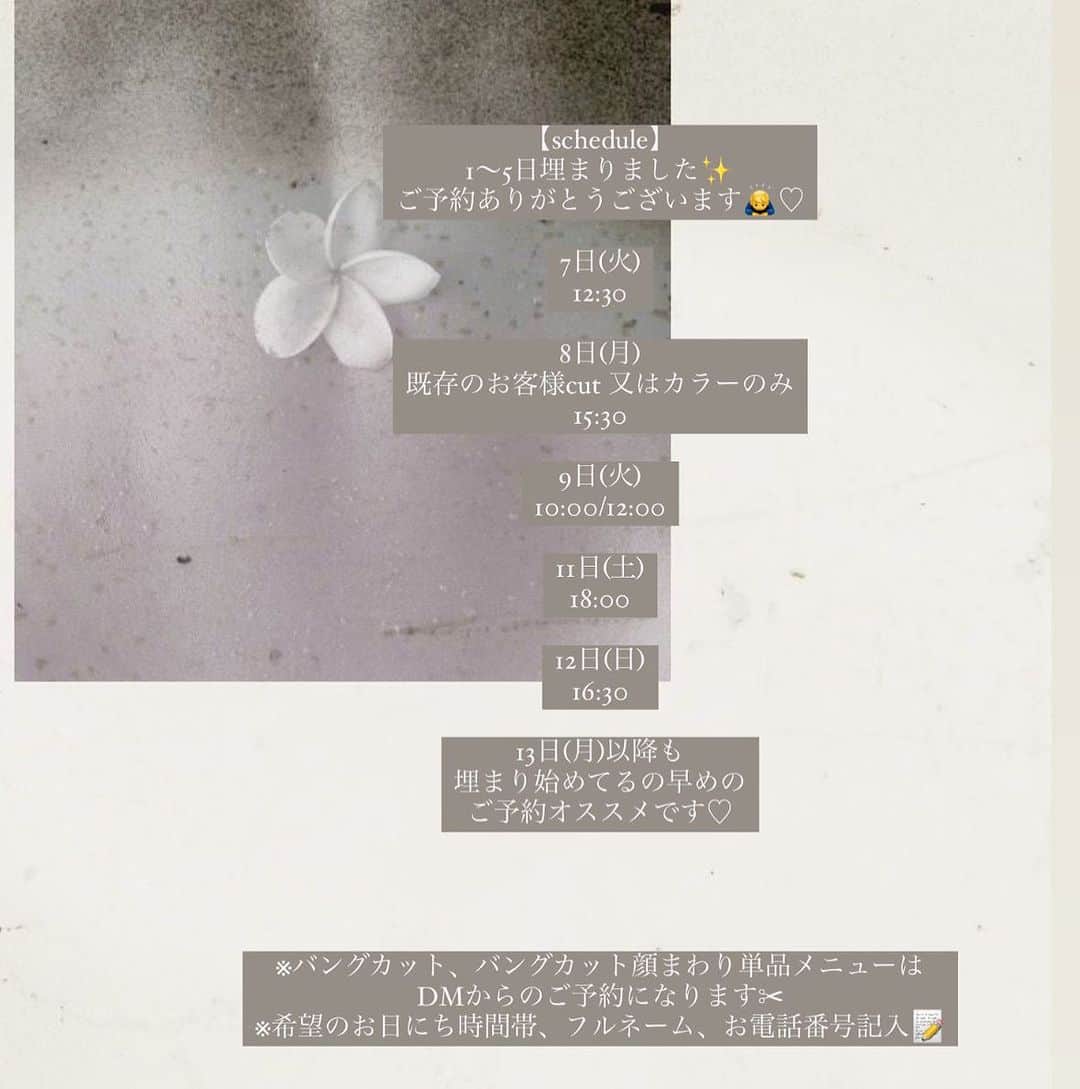 古賀美紀のインスタグラム：「【schedule】 1〜5日埋まりました✨ ご予約ありがとうございます🙇‍♂️♡  7日(火) 12:30  8日(月) 既存のお客様カラーのみ 15:30   9日(火) 10:00/12:00  11日(土) 18:00  12日(日) 16:30  13日(月)以降も 埋まり始めてるの早めの ご予約オススメです♡  ※バングカット、バングカット顔まわり単品メニューは DMからのご予約になります✂︎  ※希望のお日にち時間帯、フルネーム、お電話番号記入📝」