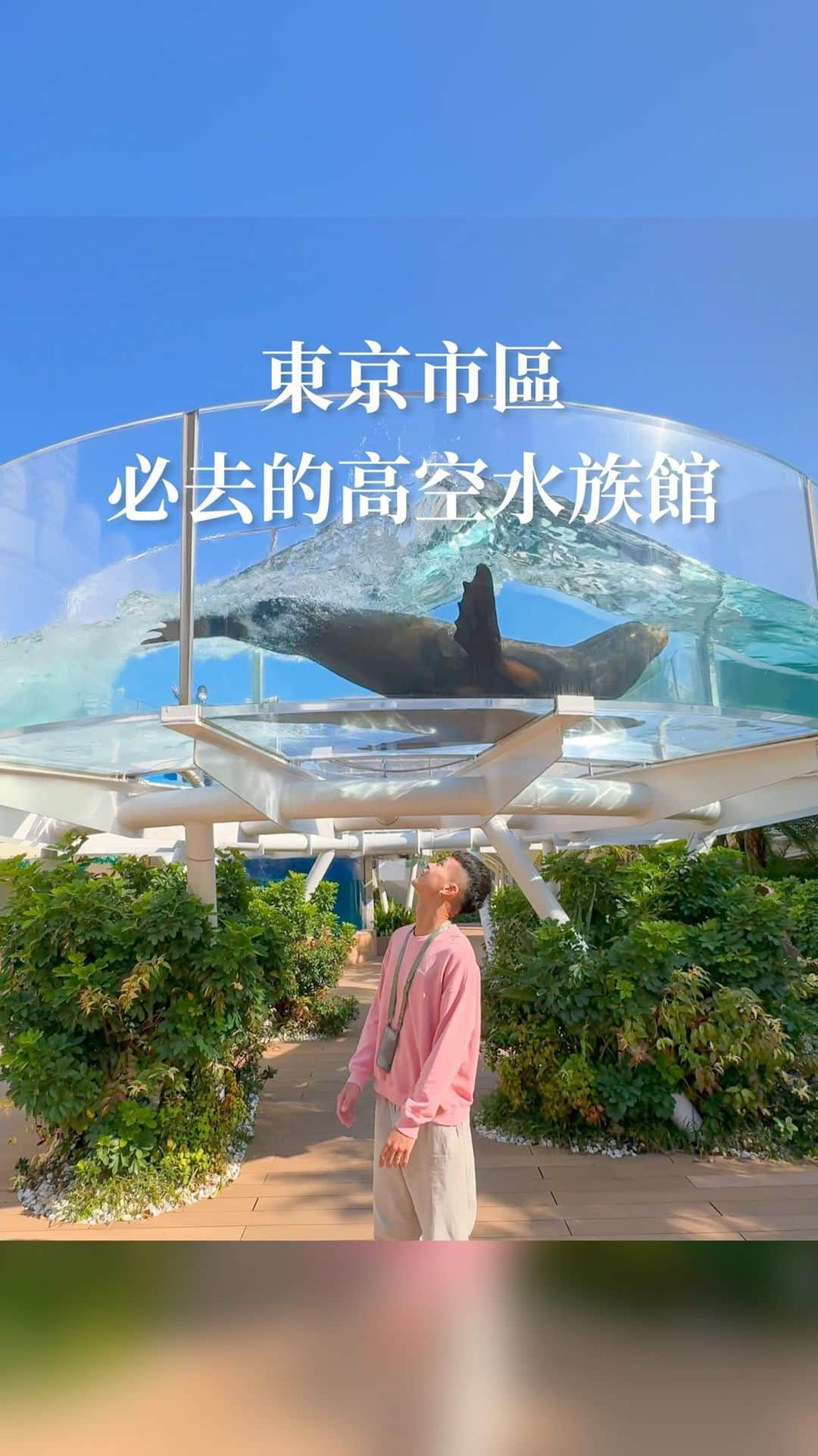 樂のインスタグラム：「東京市區必去的高空水族館，裡面的動物們都養的胖胖的好可愛😍 逛完還可以到樓下逛百貨公司吃飯，超棒的！ Tag你想一起去日本旅行的人 我是在klook提前預訂門票，可以使用我的優惠碼ygt5off喔！ 📍東京。陽光水族館 地址：東京都豐島區東池袋3-1 太陽城World import Mart 大樓頂樓 營業時間：9:30~21:00，20:00最後入場時間 #日本#日本旅行 #日本旅遊#東京#東京景點#東京観光  #japan#tokyo#水族館」