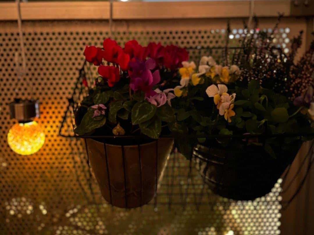 藤井美加子さんのインスタグラム写真 - (藤井美加子Instagram)「✴︎ お休みの日のランチ 3枚目の写真はね 寄せ植えとソーラーライトつけてご機嫌💡夜が綺麗なの。  #うちごはん #美加子のレシピ #今夜は満月 #デトックス」10月29日 11時41分 - mikako_miki
