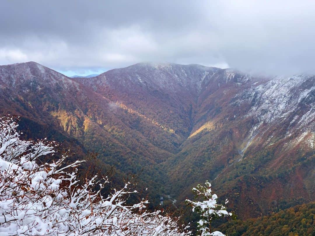 田沢美亜さんのインスタグラム写真 - (田沢美亜Instagram)「念願の谷川岳登山は雪で断念。 リフトから降りたすぐ目の前の景色は 紅葉と雪の幻想的な世界でした。  登山はできなかったけれども、この景色に出会えたことに感謝ですね。美しかった〜✨  来年までお預けですが、楽しみがふえたと言う事でまた来年よろしくお願い致します⛰️🙏  2023.10.22  #谷川岳登山 #初登山デビューならず #極寒 #mounttanigawa #群馬 #田沢美亜 #tthreefarm #二拠点生活」10月29日 11時58分 - miatazawa