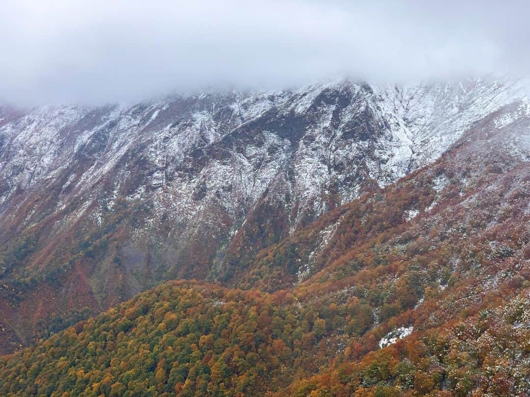 田沢美亜さんのインスタグラム写真 - (田沢美亜Instagram)「念願の谷川岳登山は雪で断念。 リフトから降りたすぐ目の前の景色は 紅葉と雪の幻想的な世界でした。  登山はできなかったけれども、この景色に出会えたことに感謝ですね。美しかった〜✨  来年までお預けですが、楽しみがふえたと言う事でまた来年よろしくお願い致します⛰️🙏  2023.10.22  #谷川岳登山 #初登山デビューならず #極寒 #mounttanigawa #群馬 #田沢美亜 #tthreefarm #二拠点生活」10月29日 11時58分 - miatazawa