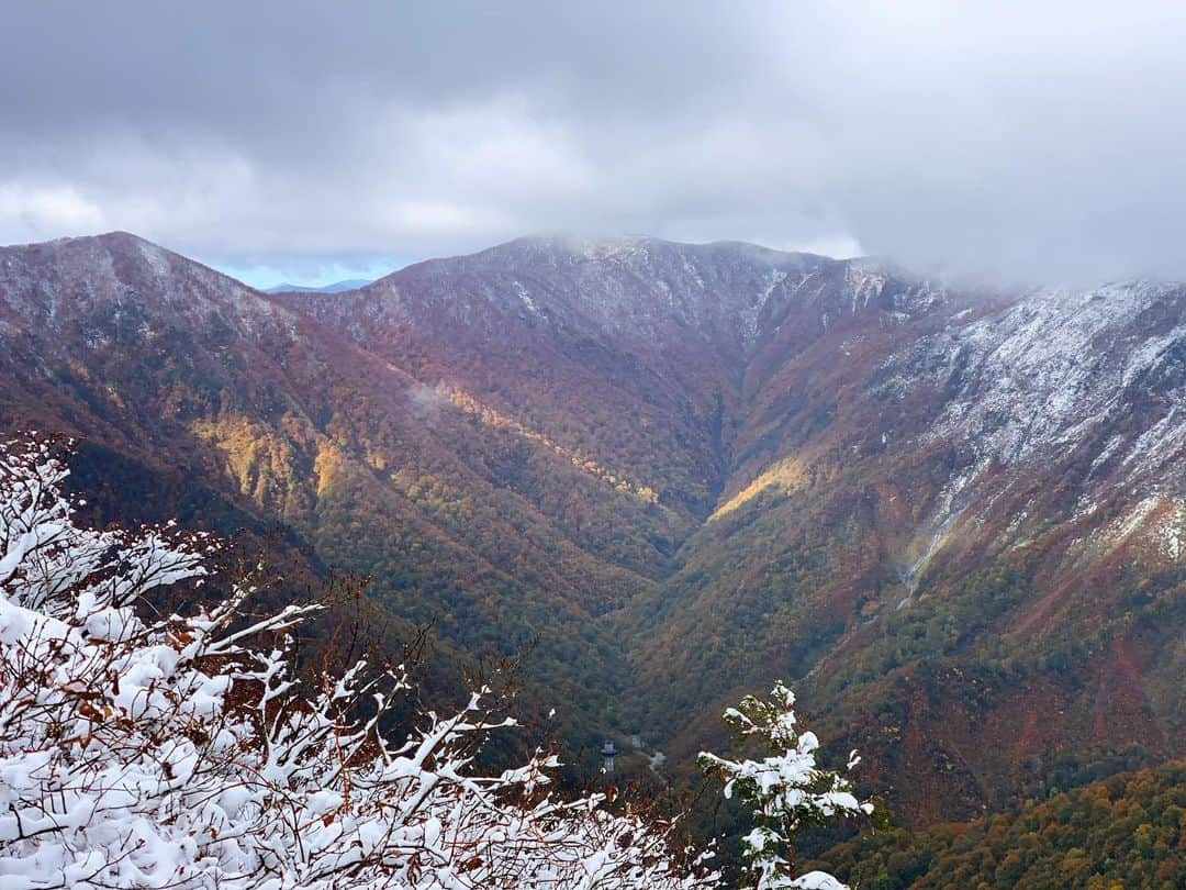 田沢美亜のインスタグラム：「念願の谷川岳登山は雪で断念。 リフトから降りたすぐ目の前の景色は 紅葉と雪の幻想的な世界でした。  登山はできなかったけれども、この景色に出会えたことに感謝ですね。美しかった〜✨  来年までお預けですが、楽しみがふえたと言う事でまた来年よろしくお願い致します⛰️🙏  2023.10.22  #谷川岳登山 #初登山デビューならず #極寒 #mounttanigawa #群馬 #田沢美亜 #tthreefarm #二拠点生活」