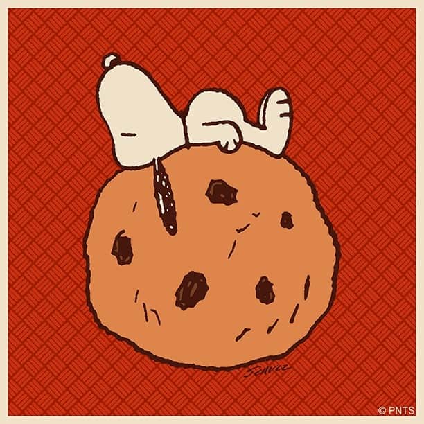 スヌーピーさんのインスタグラム写真 - (スヌーピーInstagram)「Dreaming in chocolate chip cookies 🍪」10月29日 4時19分 - snoopygrams