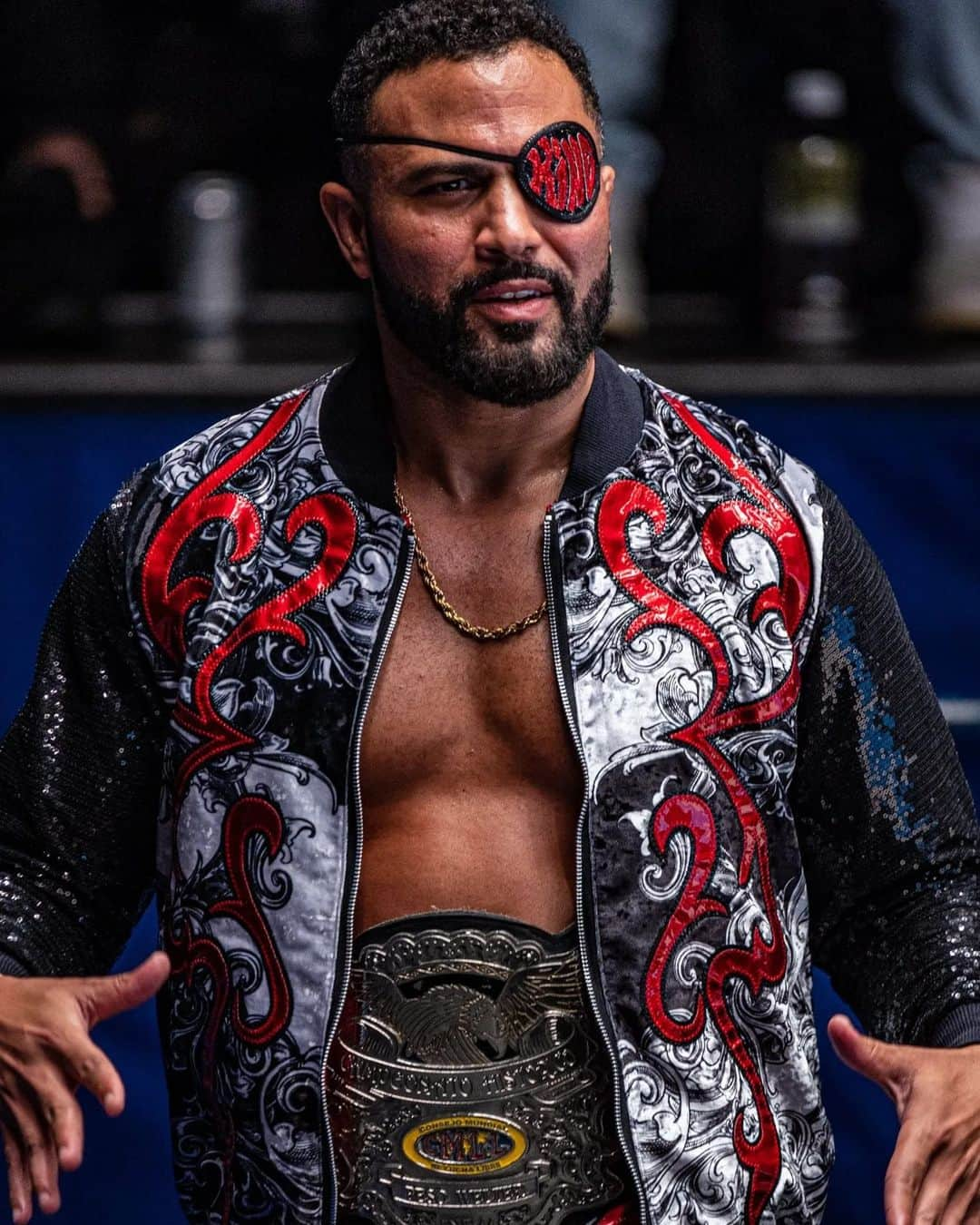 ロッキー・ロメロさんのインスタグラム写真 - (ロッキー・ロメロInstagram)「Happy birthday to the hardest working man in the wrestling business! @azucarroc」10月29日 4時49分 - azucarroc