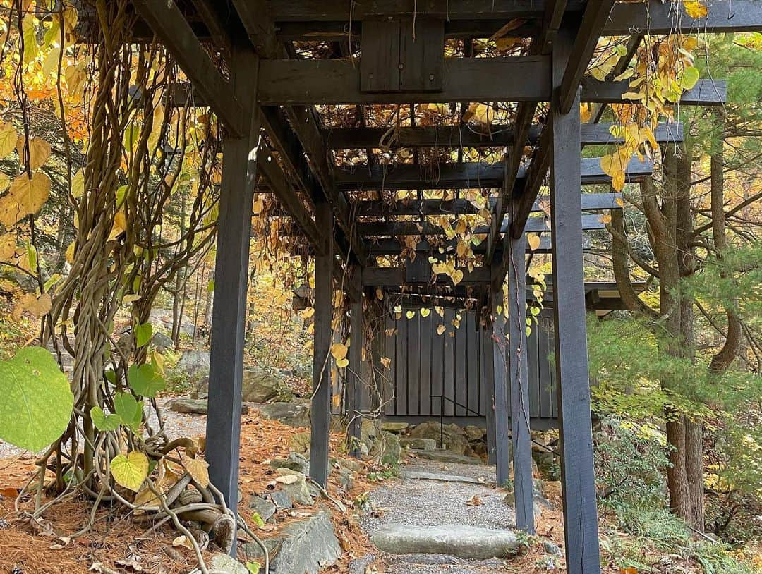 Monday満ちるさんのインスタグラム写真 - (Monday満ちるInstagram)「While the world seems so off kilter, escaped on a drive to admire the kohyoh — autumn leaves — and decided to check out #Manitoga house built by Russell & Mary Wright. Stunning!」10月29日 5時01分 - mondaymichiru