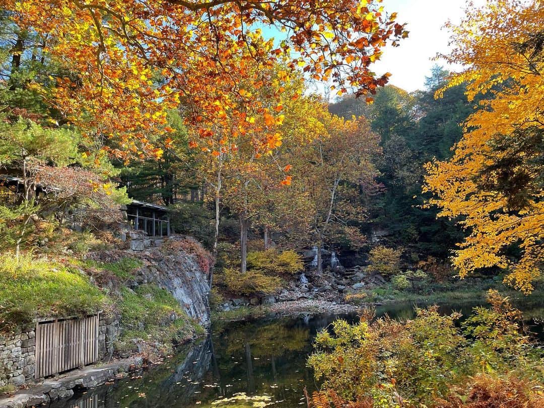 Monday満ちるのインスタグラム：「While the world seems so off kilter, escaped on a drive to admire the kohyoh — autumn leaves — and decided to check out #Manitoga house built by Russell & Mary Wright. Stunning!」