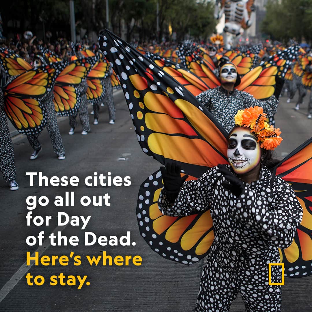 National Geographic Travelのインスタグラム：「In late October and early November, multiple Día de los Muertos parades fill Mexico’s buzzing capital with thousands of costumed marchers. Head to the link in bio for 11 of the best places to stay in five cities that really know how to celebrate the holiday.  Photograph by Cristopher Rogel Blanquet, Getty Images」