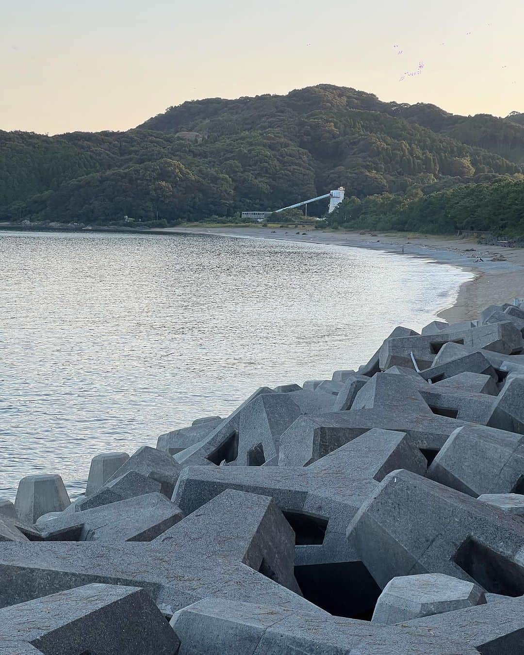 ヨネスケさんのインスタグラム写真 - (ヨネスケInstagram)「宮崎県日向灘。島は乙島です」10月29日 6時10分 - yonesuke5656