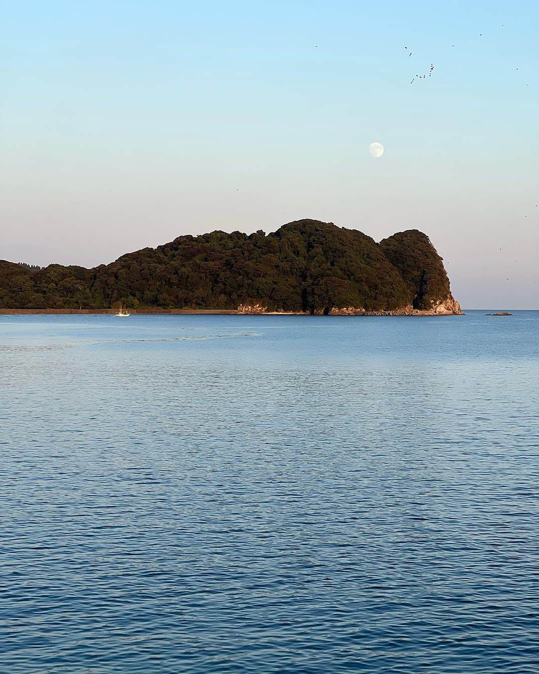 ヨネスケのインスタグラム：「宮崎県日向灘。島は乙島です」