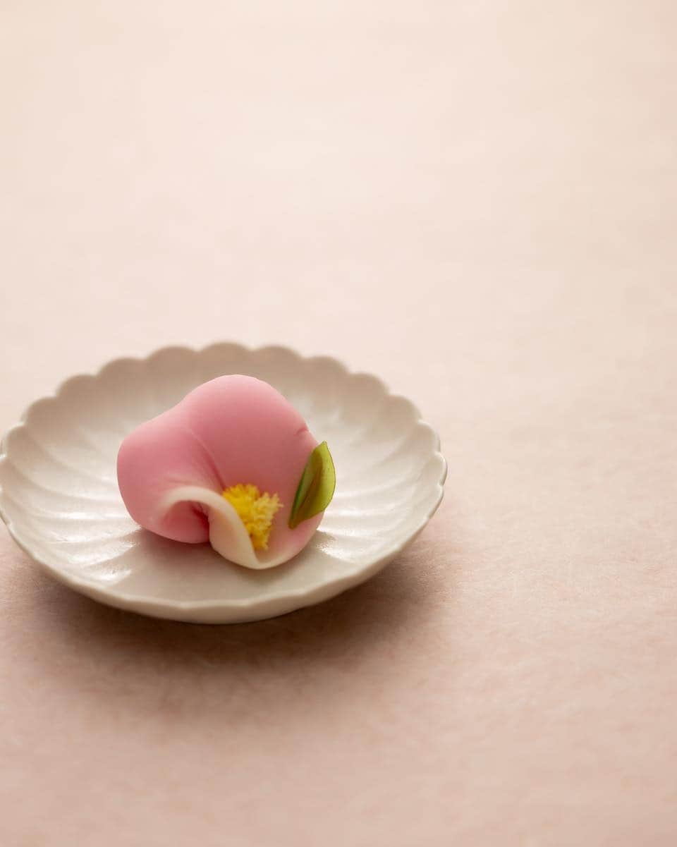 Toru Tsuchieさんのインスタグラム写真 - (Toru TsuchieInstagram)「今日の和菓子はねりきりで作った #山茶花 です。 ねりきりとは白餡に餅や芋を混ぜて作った和菓子で 茶道 で使われる「主菓子」の一種です。 #撮影 用に製作しました。  先日、大阪二六会 @osaka26kai さん主催の （本当は二六会姉妹会、大阪府生菓子協同組合、大阪府話生菓子技能士会の共同開催） 大講習会を受講してきました。 講師先生は千葉の名店 五香青柳 @goko_aoyagi の仲嶋真輝先生 公私共に仲良くさせていただいています。 経歴多すぎて書けません。  大阪二六会の皆さんには以前からとても良くしてもらっていまして ほんとにありがたいです。 僕も一応会員ですがほぼ幽霊会員です。  という事で大阪を堪能してきました。  フェイスブックページのいいね！もよろしくお願いします。 https://www.facebook.com/shishisu/  日本和菓子培训讲座接受请求。 Japanese Wagashi #Training #Seminar is accepting requests. Today's wagashi is #sasanqua with Nerikiri. Nerikiri is a Japanese unbaked cake based on white bean jam mixing and kneading rice cake, sugar, starch syrup. Is a kind of "Jounamagashi" as used in the tea ceremony. The sweets I've made for the shooting. #福泉堂  #上生菓子 #和菓子 #練切 #煉切 #ねりきり #花 #instadaily #器 #sweets #秋 #wagashi #foodstagram #さんちゃか #日本 #Japon #canon #japaneseconfectioneries  #culture」10月29日 6時37分 - choppe_tt