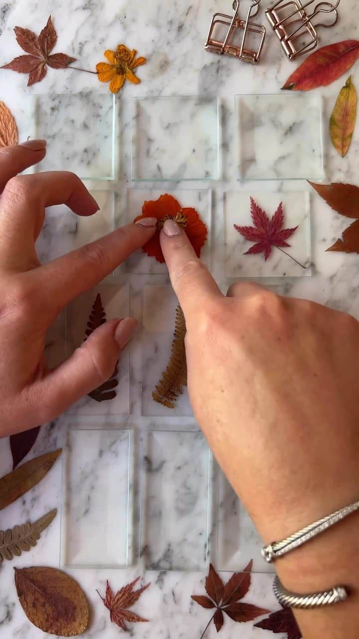 etsyのインスタグラム：「Ok, we want to hang these everywhere! Just the prettiest pressed leaves in glass by @kmpressed 🍂」