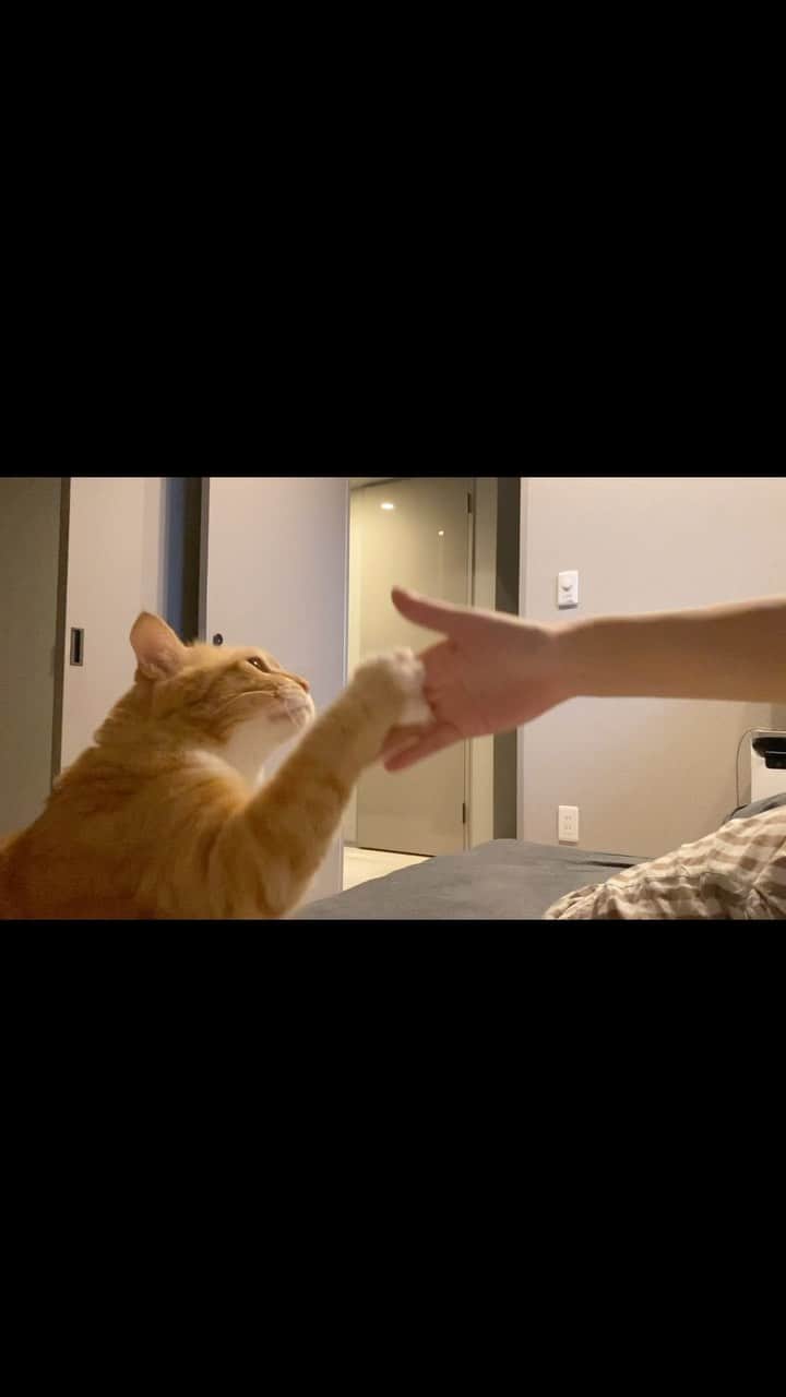 のインスタグラム：「＊ お触り会リハ。 ・ #開催未定 ・ High five.」