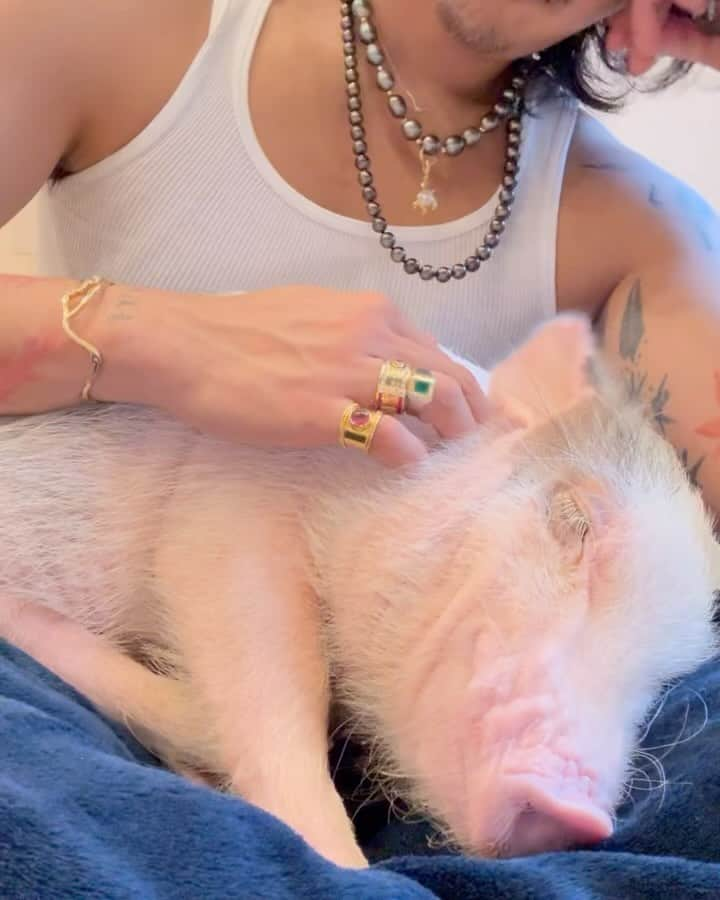 稲木ジョージのインスタグラム：「BABE💕🐷 🫶」