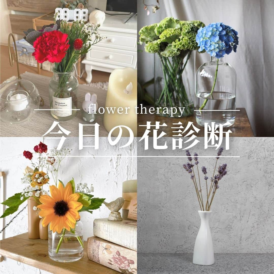 Bloomee LIFEのインスタグラム：「． 色で選ぶ！今日の花診断🌹  今日の気分のお花はどれですか？ 選んだお花の色で今日の気分がわかります！  ・赤いカーネーション ・青いあじさい ・黄色いひまわり ・白いスズラン ・紫色のラベンダー  みなさんはどのお花を選びましたか？ コメントで教えてください✨  ーーーーーーーーーーーーーーー  お花が届いたら『 #ブルーミー 』 をつけて投稿してみてください📸  ほかの投稿は @bloomee でチェック👀🌹  #bloomee #お花の定期便 #お花のサブスク #花部 #花写真 #花を楽しむ #花が好き #花好きな人と繋がりたい  #お花のある暮らし #花のある生活 #花のある生活が好き #花を飾る  #暮らしを楽しむ #丁寧な暮らし #豊かな暮らし #インテリアフラワー #フラワーインテリア #ナチュラルインテリア #インテリア #花診断 #フラワーセラピー #花色診断」