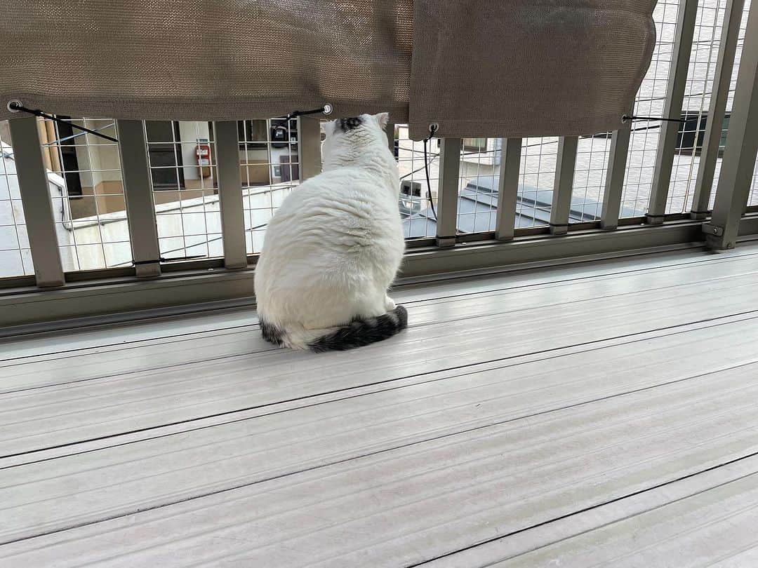 KAORUのインスタグラム