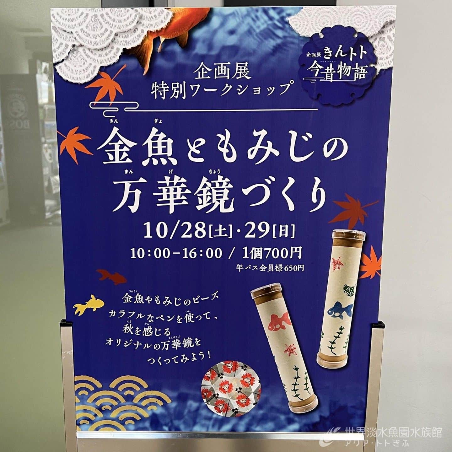 世界淡水魚園水族館 アクア・トト ぎふのインスタグラム：「本日は特別ワークショップ「金魚ともみじの万華鏡づくり」を開催中です！  企画展にちなみ、金魚やもみじをあしらったオリジナルの万華鏡を作ることができます。  【時間】10:00～16:00 【料金】700円（入館料別途）」