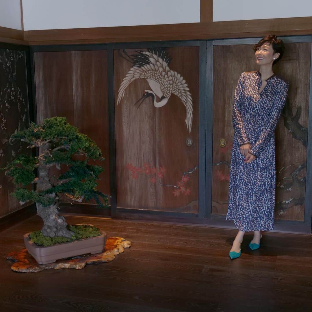 田丸麻紀のインスタグラム：「紫翠 ラグジュアリーコレクションホテル 奈良  での幸せな1泊2日の旅  （ひとつ前のリール動画でも、ご紹介しております！ しかも、リール動画、⭐️野マネージャー作！👏 特に、お部屋の露天風呂から、次の日の朝の 小鳥の声につながる流れは ⭐︎野マネージャーのこだわりが感じられて　👌笑✨^ ^）  朝は早起きして お宿から東大寺へ、気持ちの良いお散歩。 🚶‍♀️  数年前に、子供たちと一緒に 来た東大寺  今度、また一緒に 🦕🦖兄弟と ゆっくり 奈良を巡りたいな。  いろんな奈良の魅力を 発見し、益々 奈良が大好きになる そんな素敵な旅となりました。  #旅好きの私だから  #紫翠ラグジュアリーコレクションホテル奈良 #紫翠 #奈良 #theluxurycollection  #PR  @shisuihotel_nara」
