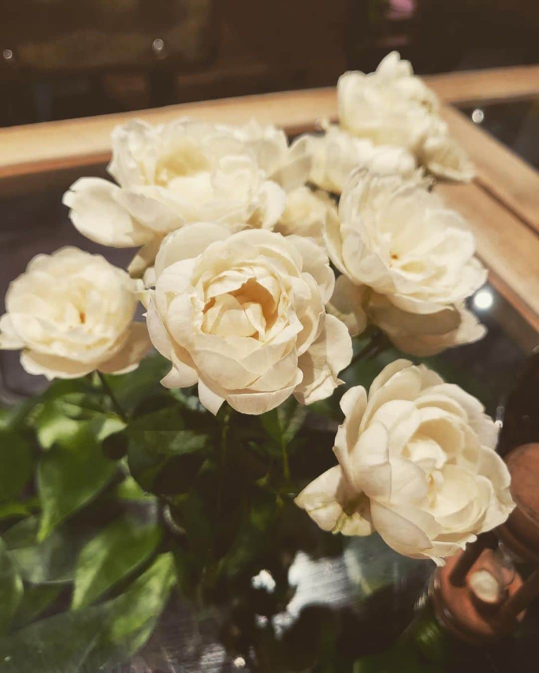 井上ほの花のインスタグラム：「⭐️🐻  秋の空気ですな〜好きです。 最近はね、長袖着てて、お昼だ！お腹すいた〜って時に「あつい〜」って心の中で叫んでます。 久しぶりにカフェ行けました！ スプレー咲きってかわいいですよねっ♡ちなみにバラです！！  #ほの花とお花のツーショット  なんだけれども、、、最後の写真はお店が暗めになってから撮ったので、顔色おばけって感じです〜目も生きてません。  それでは皆さんに幸あれ〜」