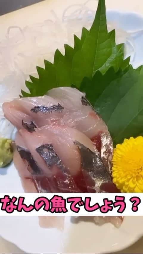 森朝奈のインスタグラム：「逆再生クイズ🐟🐟🐟 #魚屋の森さん」