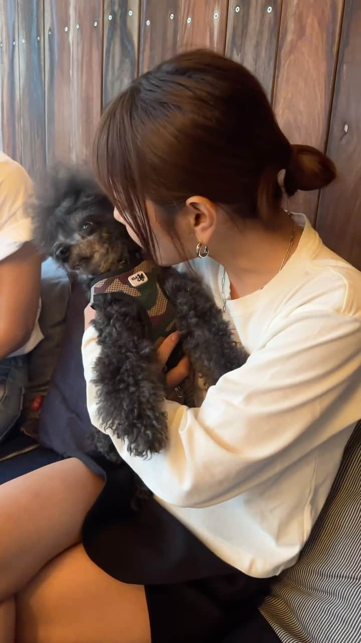 井上奈保のインスタグラム：「月本さんちのシリたん🐩❤️ #私の片思い」