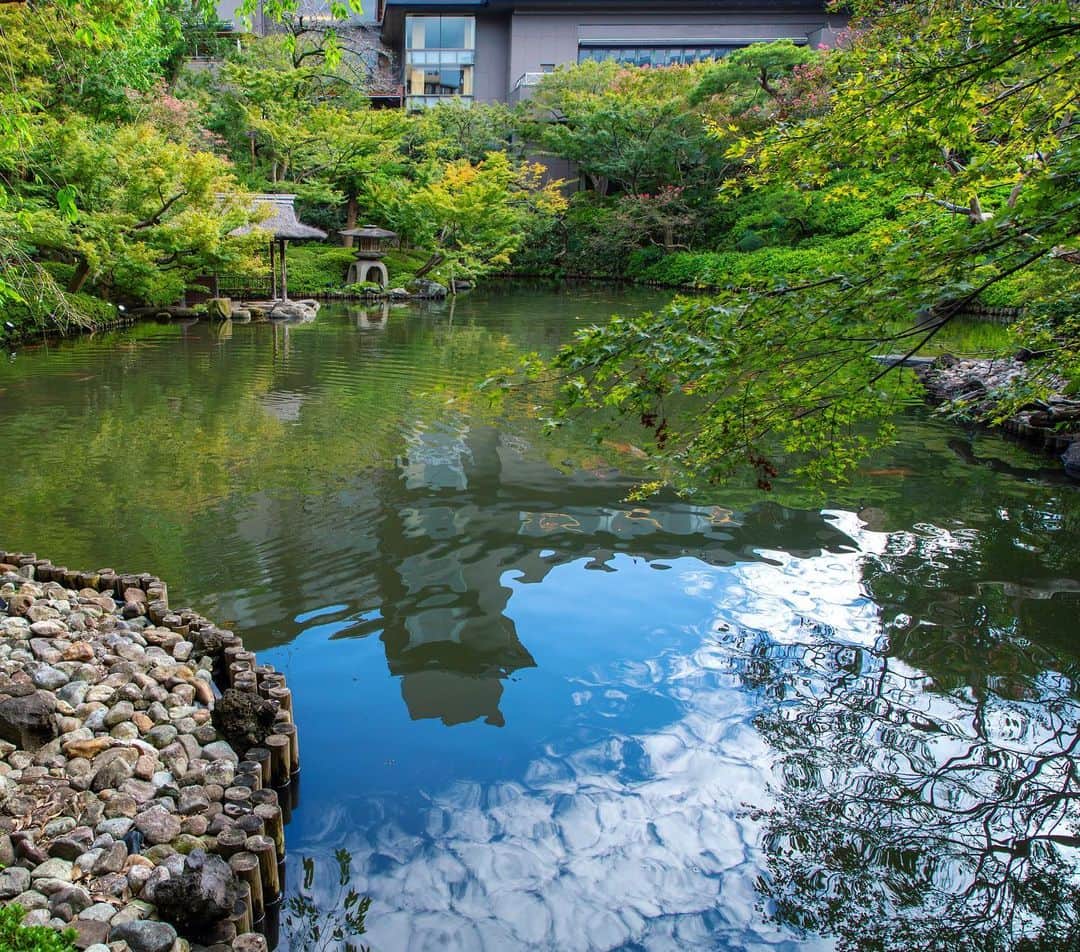 八芳園のインスタグラム：「秋の涼やかさに包まれる十月の日本庭園。 ひつじ雲に覆われた空が反映する水面を、錦鯉が心地良さそうに泳ぎます。  季節の移ろいに合わせて、紅葉もほんのりと薄く色づきはじめました。  🍂🍂🍂  #八芳園 #happoen #結婚式場 #日本庭園 #10月 #神無月  #ひつじ雲 #羊雲 #秋雲 #秋の空 #そらすたぐらむ #空が好き #今日の空  #カメラ部 #写真好きな人と繋がりたい #東京カメラ部 #その瞬間に物語を #風景写真  #japanesegarden #japan_of_insta #jp_views #special_spot #tokyo #japan_daytime_view #ig_jp #japanoinsta #japantravel #tokyotrip #reflection #リフレクション」