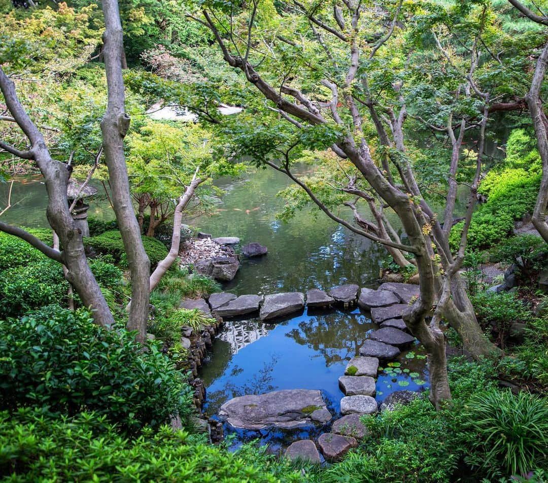 八芳園さんのインスタグラム写真 - (八芳園Instagram)「秋の涼やかさに包まれる十月の日本庭園。 ひつじ雲に覆われた空が反映する水面を、錦鯉が心地良さそうに泳ぎます。  季節の移ろいに合わせて、紅葉もほんのりと薄く色づきはじめました。  🍂🍂🍂  #八芳園 #happoen #結婚式場 #日本庭園 #10月 #神無月  #ひつじ雲 #羊雲 #秋雲 #秋の空 #そらすたぐらむ #空が好き #今日の空  #カメラ部 #写真好きな人と繋がりたい #東京カメラ部 #その瞬間に物語を #風景写真  #japanesegarden #japan_of_insta #jp_views #special_spot #tokyo #japan_daytime_view #ig_jp #japanoinsta #japantravel #tokyotrip #reflection #リフレクション」10月5日 19時28分 - happoen