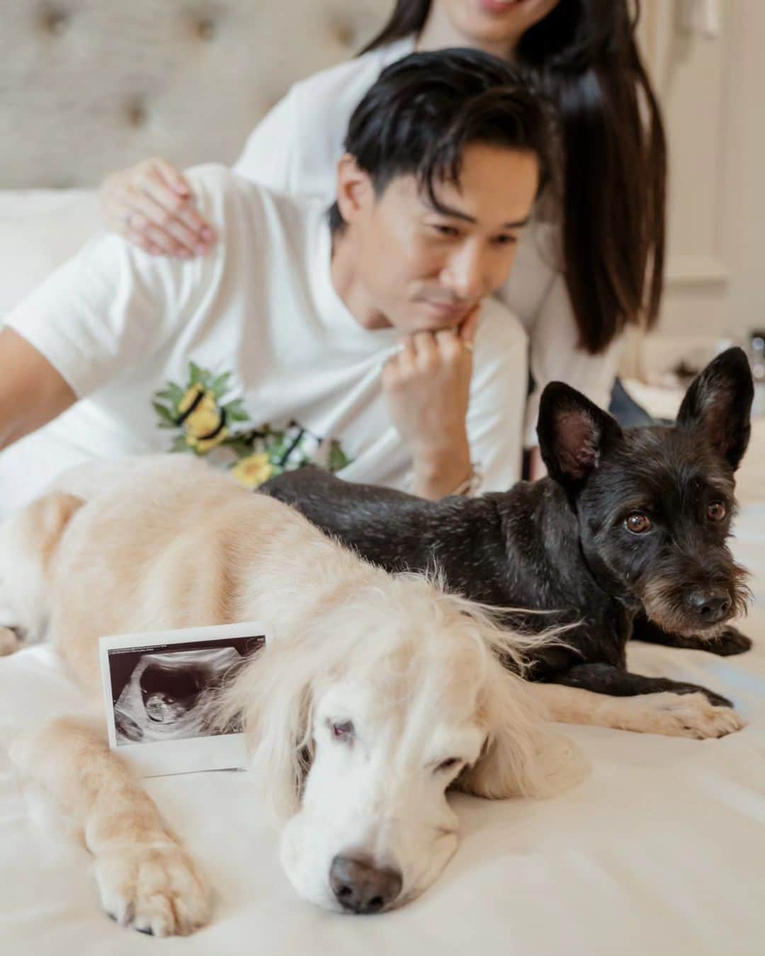 デスモンド・タンのインスタグラム：「Thank you for all the well wishes! Honestly, this has been the biggest blessing. We feel beyond blessed and are over the moon to embrace a new chapter, a new heartbeat. 💓   And yes, the boys are gearing up to be great brothers, ready to protect their new human! 😉 (next photo)」