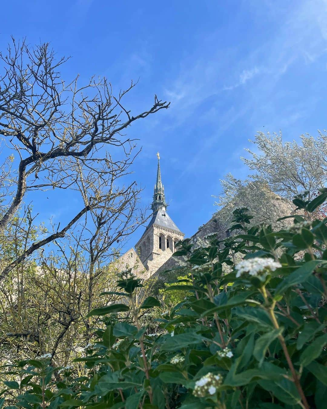 あきまっくすさんのインスタグラム写真 - (あきまっくすInstagram)「📍Mont Saint-Michel 🇫🇷  聖オーベル司教が大天使ミカエルから お告げを受けて建てられた聖堂だそうです👼🏼✨ . 添乗員さんのお話によると ミカエルが「私を祀る聖堂を建てなさい」と 2回夢に出てオーベル司教に伝えたのに 「ただの夢や」と無視をしていたら 3回目、夢に出てきたミカエルが オベール司教のおでこに指を当てた時 ピギャーン⚡️と雷に打たれたような衝撃を受け モン・サン・ミシェルを建てる事にしたそうです！ . 大天使ミカエルなかなかの力技やんな👼🏼⚡️ . ここが見たくてフランスを選んだのもあり 行けて嬉しかったし、本当に綺麗で 感動しました😌👼🏼🙏🏽💓 . . . #モンサンミッシェル #フランス旅行 #大天使ミカエル #聖オーベル司教 #長距離移動で顔テカテカ #montsaintmichel #新婚旅行」10月5日 19時45分 - akimax1221