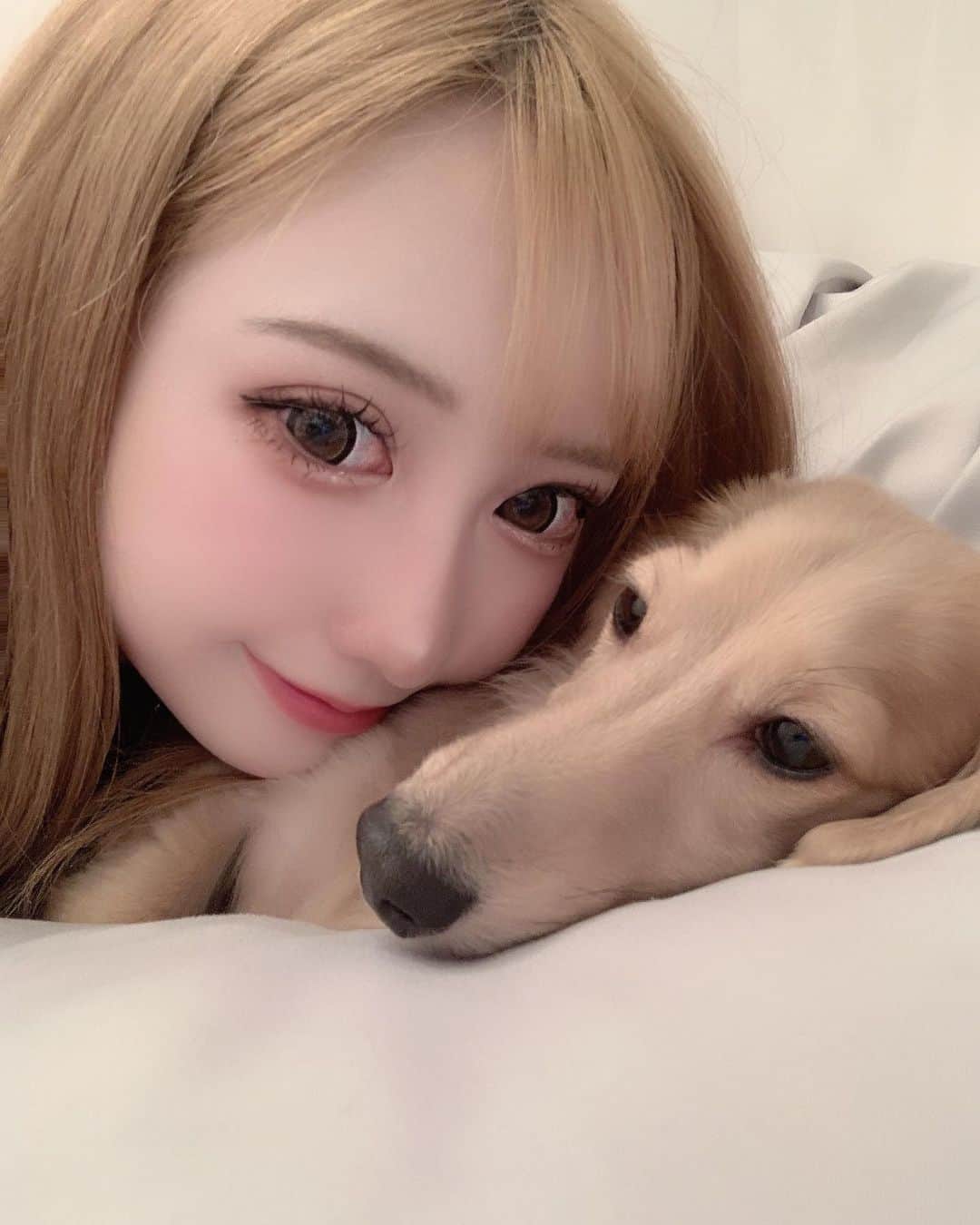 愛莉のインスタグラム：「珍しくアリィとのツーショット🐶💓  #大阪#北新地#難波#歌舞伎町#水商売#キャバ嬢#キャバクラ#ホスト#キャバドレス#可愛い#ガリガリ#スタイル抜群#金髪#ギャル#清楚#お姉さん#谷間#ヘアメイク#自撮り#いいね返し#フォロー返します#整形#美容#セクシー#脚フェチ#メイク#ティックトック#愛犬#ミニチュアダックス」