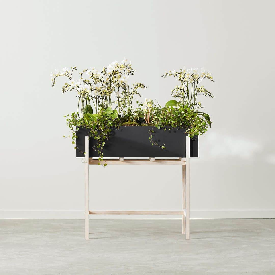 デザインハウス ストックホルムのインスタグラム：「Use the Botanic Collection in 5 different sizes to add a green aesthetic to small and large apartments, offices, shops and all kinds of public spaces. The Botanic collection brings flowers, plants, and greenery indoors in a well-organised and easily manageable way. Nature domesticated as a powerful new element of interior architecture. Ada Chirakranont and Worapong Manupipatpong of Atelier 2+ acknowledge that even in tropical Bangkok there are too many buildings and not enough green space around. “Bringing the green into interior space is a pleasure for us, because we simply love plants.” says Worapong Manupipatpong ”We want to help create indoor gardens with a straightforward and very structural design language.”  #interior #interiordesign #architecture #interiorinspo #interiorinspiration #decor #theworldofinteriors #home #homedecor #interiordesigner #design #homedesign #decoration #decorlovers #interiordecorating #scandinaviandesign #swedishdesign #creative #artsy #artshow #newnordic #nordicdesign #trendy #newnordicdesign」