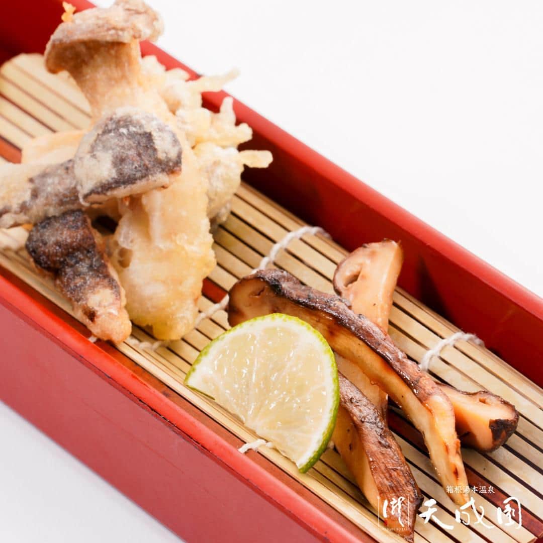 【公式】箱根湯本温泉 天成園のインスタグラム：「♨ 秋の味覚を召し上がれ🍁  万葉プレミア会員様だけの特別メニュー✨️ 《極メニュー》10月のラインナップをご紹介♪  🍁近江牛と松茸香る肉豆腐鍋 1,580円 🍁近江牛と松茸の石焼き 1,580円 🍁近江牛と松茸のオイスターソース炒め 1,480円 🍁松茸入り木の子天麩羅と焼松茸2種盛り 1,380円  3点同時注文で、3,000円の特別価格に🉐✨️✨️  10月の極メニューは 2階・憩い処にて販売中！  過去の投稿はこちら✔ #tenseien_food #tenseien_sweets ———————————————— 場所: お食事処「憩い処」 電話(代表):0460-83-8511 営業時間: 11：30～21：00 （ラストオーダー　フード ・ ドリンク類20：00） ————————————————  #箱根 #箱根湯本 #天成園 #箱根湯本温泉 #天成園箱根湯本 #温泉 #本格温泉 #箱根ホテル #箱根旅館 #箱根旅行 #旅行 #個室 #貸し切り #レンタル浴衣 #露天風呂 #日本庭園 #神社 #滝 #日帰り温泉 #hakone #箱根グルメ #松茸」