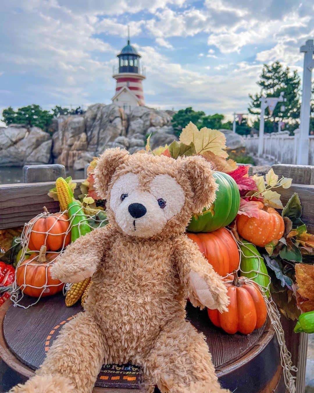 中島絢乃さんのインスタグラム写真 - (中島絢乃Instagram)「🧸🎃🍂  .  #ケープコッド に行ったら ダッフィーのフォトスポットあったよ🧸💞🎃  小さいサイズの ハロウィンカラーなかぼちゃたちに 囲まれるダッフィー 🧸🎃💭 かわいい🎃🎃🎃  .  ハロウィンのカラフルな感じ大好き、、🥹💞🎃 オレンジってかわいいよね🧡  〰〰〰️〰〰〰〰️〰 #disneysisters_jp ☜中島姉妹ディズニー投稿まとめ @nakajimasisters_jp ☜姉妹アカウント🎃」10月5日 13時27分 - nakajima_ayano