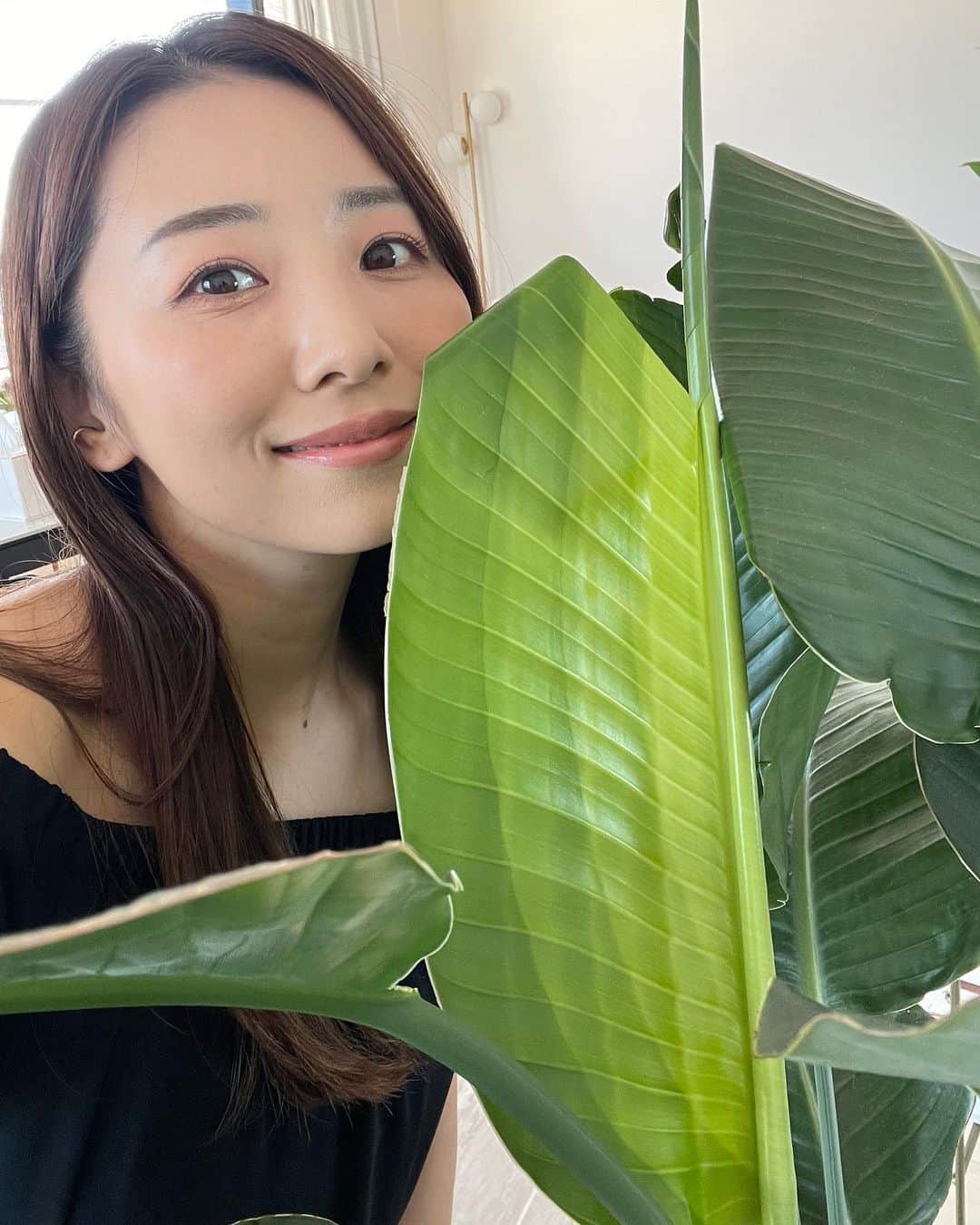 のインスタグラム：「朝の習慣🌱🌱🌱  最近毎朝続けている習慣が、  ①白湯飲む ②スキンケアしながら小顔体操 ③観葉植物にぐっもーにん☀️🪴 ④腸活食材で朝ごはん ⑤とにかく良いことを考える  👆こんな感じなんだけど 特に最近腸の調子が良くて良くて🥹 毎朝私の部長がトイレに定時出社してくれます💩  最近は毎朝ダノンビオ プレーン・砂糖不使用 （善玉菌パワープラス）を食べてるよ!!  ヨーグルトの菌て、胃酸に負けちゃって生きて腸まで届きにくいんだけど、 ダノンビオのビフィズス菌BE80は、100倍胃酸に強くて※1、生きて腸まで届くんだと!!😳  生きて腸まで届くから、善玉菌がより増やせるんだって!!  だからかな？1日1回出社だった部長が1日2回も出社してくれる時もあってもう超優良社員です💩🤣👏(私の場合はですw)  4つパックになってるから朝パッと食べれるし 美味しいからとっても習慣化しやすい🥹✊✨  継続してるとなんか最近腸の調子いいよな？って実感してくるので、ぜひ8日間続けてみるのおすすめです🥹🌱  あと⑤も忘れずにね🤣✌️  #PR　#ダノンビオ　#腸活　#ヨーグルト　#インナービューティー ※1：ダノン従来品比。BE80菌とブルガリカス菌との胃液殺菌力に対する生存比較実験の結果。」