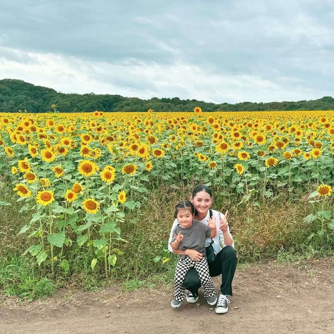 松浦みなみのインスタグラム：「🌻 季節外れの向日葵 すごかった🌻  #北海道 #パレットの丘 #北海道旅行  #道産子」