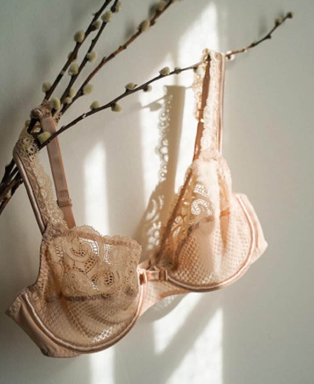 レジャビーのインスタグラム：「ICONIQUE⁣ Les iconiques Maison Lejaby, dessous incontournables, sont les essentiels du quotidien,  peu importe les saisons. - ICONIC MUST-HAVE Maison Lejaby's iconic lingerie is an everyday essential, whatever the season. The perfect combination of comfort and refinement.  #MaisonLejaby #Lingerie #Underwear #Corseterie #WomanMaisonLejaby #LingerieHeritage #SavoirFaire #FrenchKnowHow」