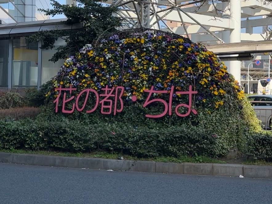 高山沙織のインスタグラム：「【最長片道切符の旅　振り返り♯17】  こんにちはアンドロイドのお姉さんです。私はただいま千葉駅に来ています。花の都”ちは” これ駅前の看板に”ちは”って書いてるね。というわけで本日朝から美容院に行ってたので大分スタート遅いですが、最長片道 切符の旅始めていきます。本日は千葉駅を出発し、千葉県をグルーと一周するというルート。総武本線と成田線を乗り継ぎ地元の人しか使わないんじゃないかなという東金線も 超えていきます。そして外房線と内房線で房総半島をぐるっと一周。  一周ぐるっとしたら千葉県のマスコットキャラクター”チーバくん”の形になるらしいので頑張ります。  今回最初に乗る列車は総武本線の普通列車12時42分。車窓は10分ほど走ると街からのどかな田園風景に変わっていきます。乗車してから18分で佐倉駅に到着。  次は 成田線快速に乗っていきます。これは成田空港行きの列車e235系。空港までは行かないので成田駅で下車します。次も同じく成田線の列車に乗り換えて松岸駅を目指します。  車窓からはずっと続く田園風景、落花生でも栽培してるのかしら？約1時間ほどの乗車で松岸駅に到着。  先ほどの電車に乗り続けていたら銚子駅まで行くことができて、そこから赤字ローカル線の「銚子電鉄」に乗ることができます。  まぁ今回は行かなかったですが……。  次に乗る列車はまたしても総武本線。47分乗車して成東駅に到着しました、  ここから東金線に乗って終点の大網まで。東金線は成東駅と大網駅を結ぶ13.8キロの短いローカル線。駅の数もたった5駅しかありません。出発して21分で終点大網駅に到着。  大網駅、次に乗る外房線と乗ってきた東金線のホームはV字型に分岐しており結構離れてるんですよね。その距離50m。これは大網駅が開業した当初、千葉方面と安房鴨川方面へ直通する構造で スイッチバックが必要だった名残でもあります。  今は駅が移転してスイッチバックが解消されましたが駅の形状から歴史を読み解くことができますね。  さてここで1時間ほど待ち時間ができたので途中下車してみました。駅から600mほど歩くと旧大網駅があっ た場所にたどり着きます。現在は公園になっていました。  そして公園には腕木式信号機のモニュメントが飾られています。かつては使われていたようですがこれは一体どういう仕組みだったんでしょうかね。  押しても引いても全然動かなかったので 仕組みが理解できませんでした。  さて昔の大網駅の様子が少し垣間見えたところで駅に戻ることにしましょう。というわけで待ち望んでいた特急わかしお号に乗車していきます。ここから房総半島を一周するたびの始まりです。もう夕日の時間ですが……。  それにしても特急は快適ですね。 今日1日電車に乗りっぱなしで千葉っぽいものとか何も食べれてなかったので 駆け込みで落花生買っときました。千葉県で食べるチーバくんの証の落花生、いつもよりなんかおいしい気がしました。列車は40分ほどで勝浦駅に到着。  ここから普通列車に乗り換え安房鴨川駅を目指します。さて、前面展望を陣取ってまで撮影したこの先にある駅は ひっそりとした無人駅「行川アイランド駅」人々が探し求めていたアイランドは 千葉県の外房線沿線にあったんですね。夜のアイランド、めっちゃ気になるのですが、アイランドで降りたら帰れなくなるんでね普通に終点を目指します。列車に揺られること30分ほど、安房鴨川駅に到着。ここから内房線に乗り換えるのですが 待ち時間が15分ほど、 夜ご飯を食べようにもやってそうな店はなく、駅ナカのニューデイズに入ってみたのですが、なんと無人のニューデイズ！！  店内には繰り返しの機械音だけがただ流れ続けていました。  食料を軽く調達したところで内房線に乗っていきます。  ここからは房総半島の半分以上を普通列車を乗り継いでいくので長い長い道のりになります。しかもなんと緊急事態発生！『イノシシと衝撃したため停車をして おります』とのアナウンス  千葉でこんなことあるんだね！なんかこういうトラブルが起こると北海道の大地を思い出しますよね。  そのまま列車に揺られること2時間10分ほど。アクシデントで10分ほど遅れましたが無事君津駅に到着。  ここで同じく内房線の千葉行きの列車に接続するのですが、10分遅れでも待ってい てくれました。というわけで内房線の終着蘇我駅に到着。  いやー千葉一周は長い旅でしたね。  そして、もう21時30分ですが今日中になんと東京に向かいます  京葉線の普通列車に乗り込んでディズニーランドを素通り……。この旅には縁遠いの場所ですね。  そして約1時間で東京駅に到着。東京に到着したということで本日の最長片道切符の旅を終えます。いやー長かった。京葉線のホームから出口までも長いですがね。  駅前に出て来た頃には時刻はもう11時前、だけども夜の東京駅はやっぱり素敵ですよね。  この景色を見ると疲れが少し吹っ飛ぶ気がします。  この旅を始めて約1ヶ月、やっと東京駅に ついてこの度も折り返しという感じです。今回も投稿見てくださってありがとうございます。次の投稿でお会いしましょう」
