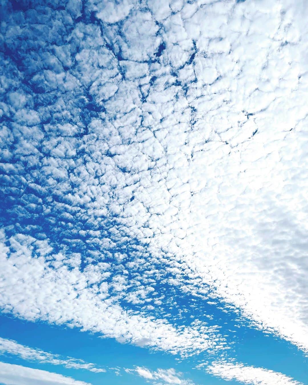 安田美香のインスタグラム：「すっごいうろこ雲！キレイだなー」