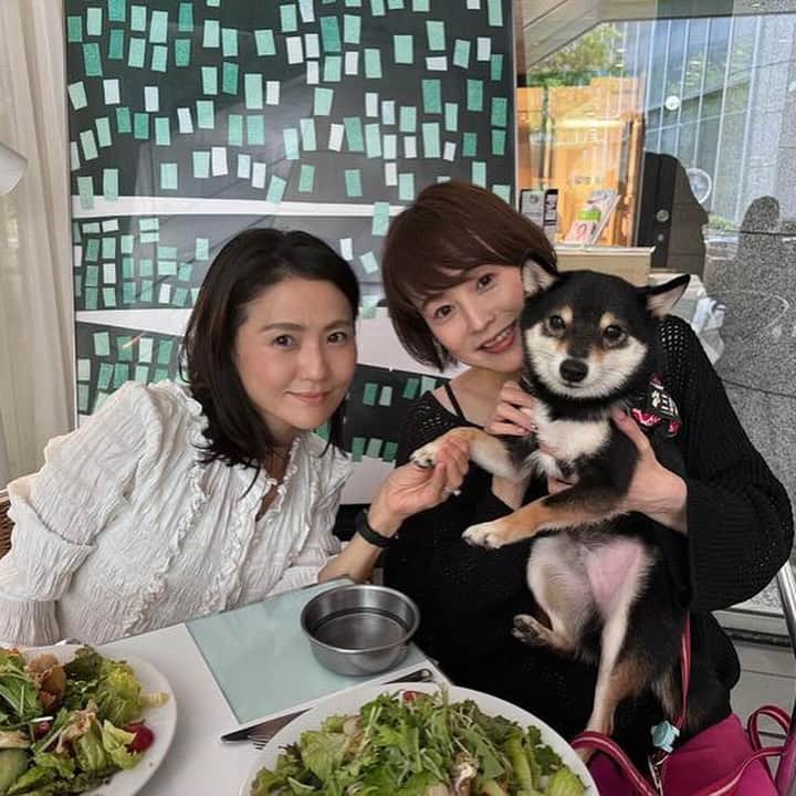 岩瀬玲のグルメインスタ