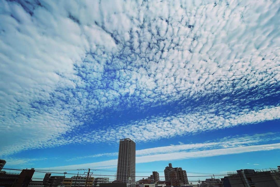 西山浩司のインスタグラム：「いまの雲(東京)　やっと秋がきたね」