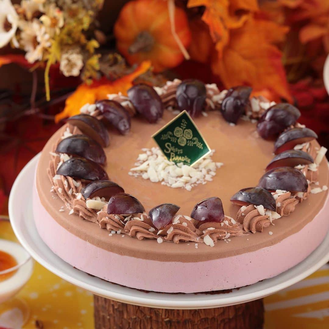 スイーツパラダイス公式（スイパラ）さんのインスタグラム写真 - (スイーツパラダイス公式（スイパラ）Instagram)「#スイパラ  　　　　　🍁秋限定メニュー🍁 🍇ぶとうとミルクチョコのムースケーキ🍇  チョコの濃厚な甘さが ブドウの香りを引き立てる2層のムースケーキ🍰✨  #スイーツパラダイス #スイーツ #フルーツ #食べ放題 #cakes #tweetp」10月6日 16時00分 - sweetsparadise