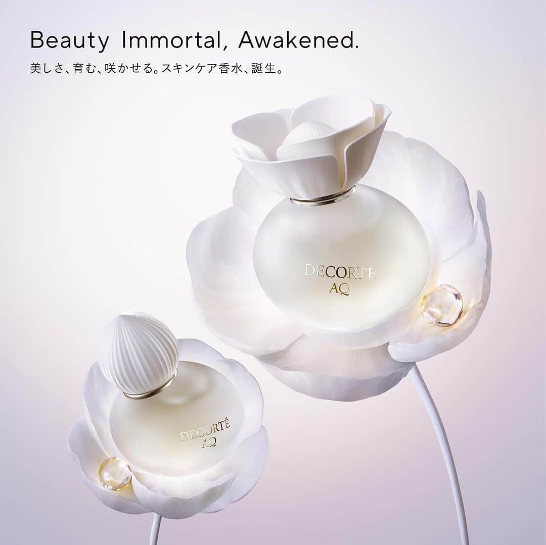 のインスタグラム：「AQ Eau de Parfum, a scent that lasts in hearts eternally.   Starting with the top note of fresh Citrus,  the middle notes of clean scared scent of Champak, the powdery sweetness of Epiphyllum oxypetalum, and luxurious Sandalwood exudes elegance.  At the end, the base notes of Woody and Musk wrap you up warmly and gently.  誰かの記憶へと永遠に息づくような香り「AQ　オードパルファン」  爽やかなシトラスをトップに、 ミドルはみずみずしく神聖な金香木、パウダリーな甘さのある月下美人、ラグジュアリーな白檀が、気品と華やかさを奏でます。 ラストはウッディとムスクがあたたかく柔らかく包み込む、フレッシュフローラルムスキーの香調です。  10月16日発売　新商品 AQ　オードパルファン  	 #AQフレグランス #AQfragrance #フレグランス #ＡＱオードパルファン　 #AQeaudeparfum　#eaudeparfum #decorte #コスメデコルテ」